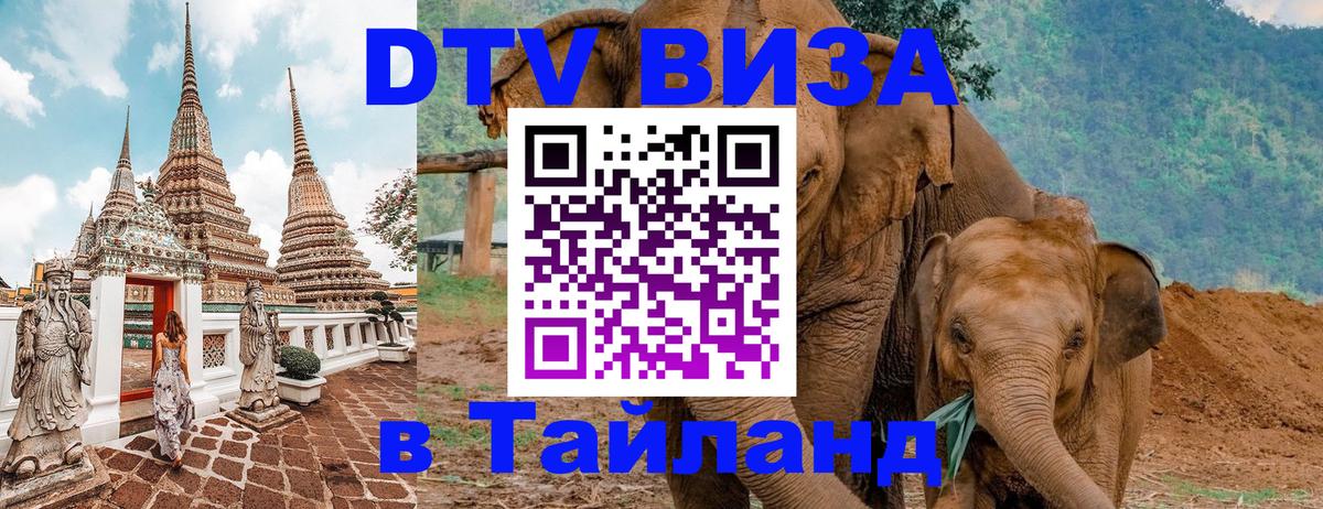 Оформление DTV визы под ключ: стоимость и тарифы, только загранпаспорт - Якутск  19.11.2025 